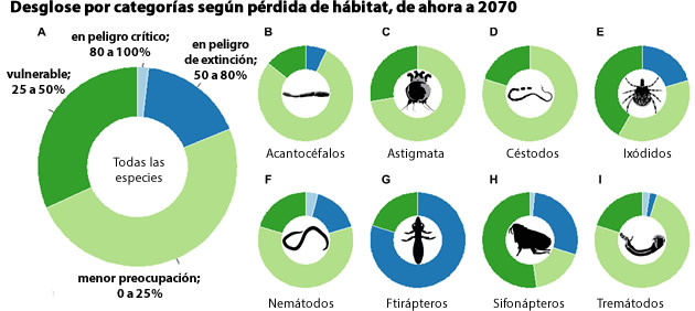 parasitos