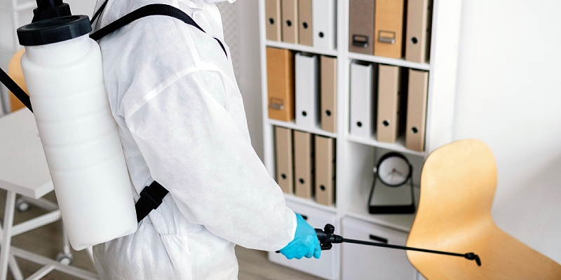 control de chinches en oficinas