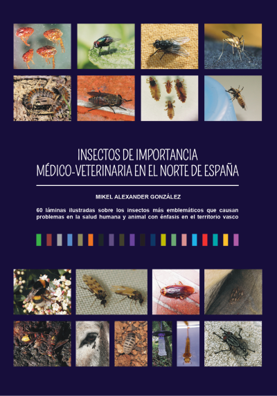 insectos