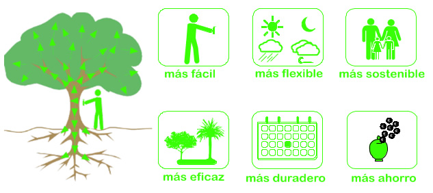 Acabar con la procesionaria del pino en otoño e invierno