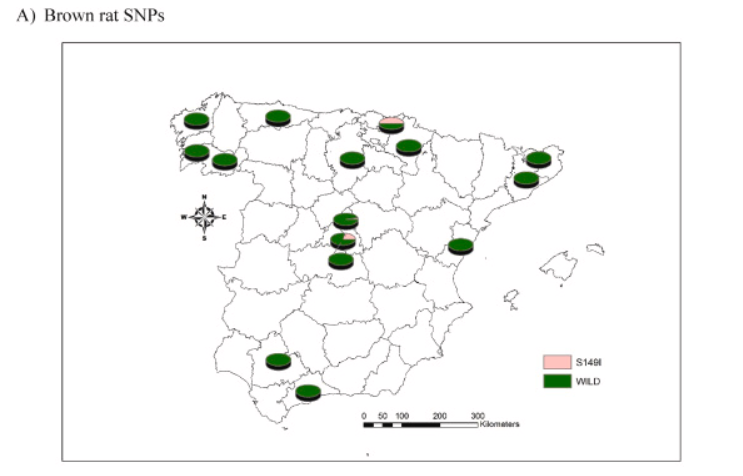 rodenticidas anticoagulantes