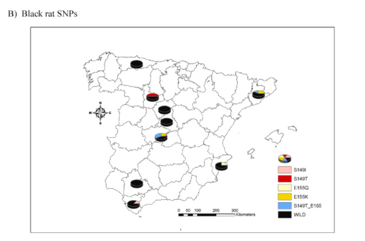 rodenticidas anticoagulantes