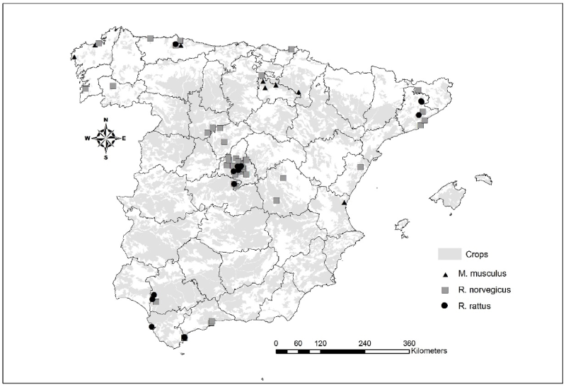 rodenticidas anticoagulantes