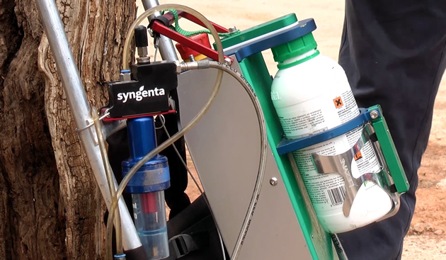 syngenta