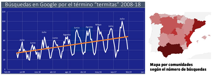 termitas