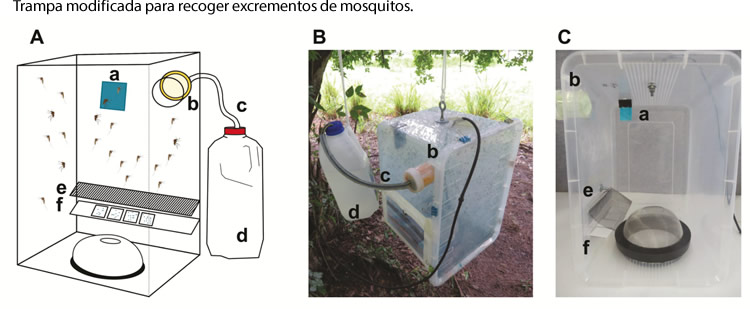 Deteccion de arbovirus en mosquitos analizando sus excrementos