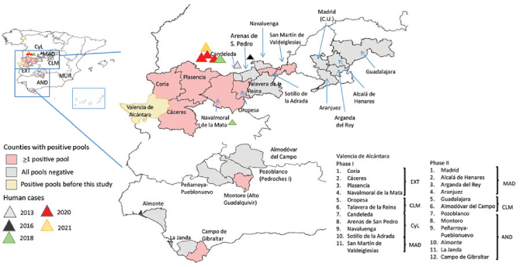 virus de la fiebre hemorrágica Crimea-Congo