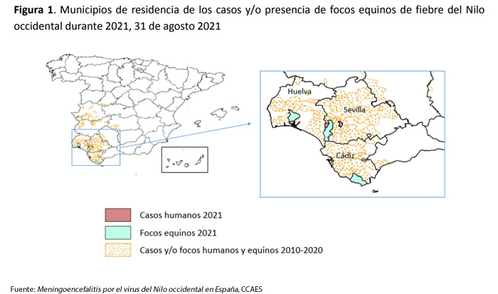 virus del nilo occidental