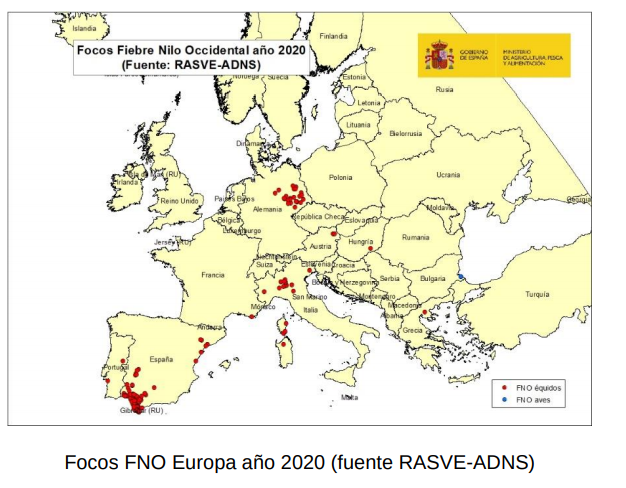 virus del nilo occidental