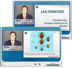 curso-chinches