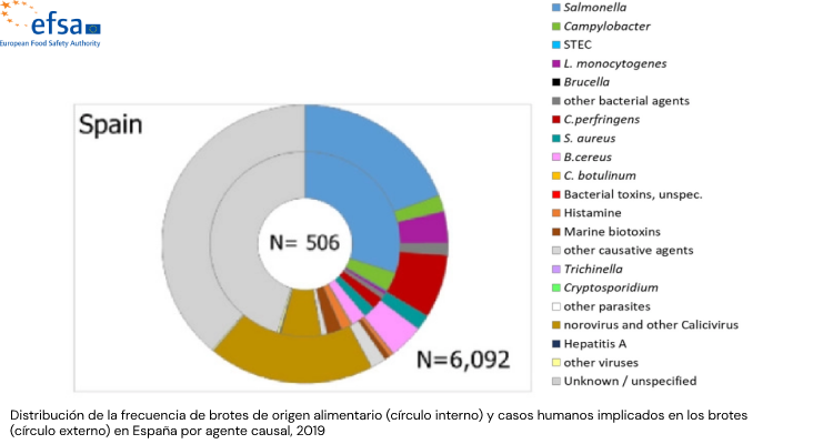 bacillus cereus