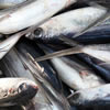 pescado