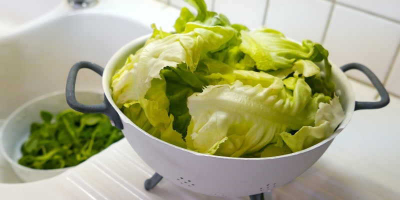 toxoplasma gondii en ensaladas listas para el consumo