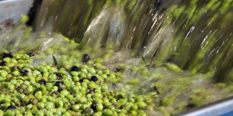 calidad del agua en la industria alimentaria
