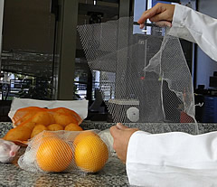 bioplasticos