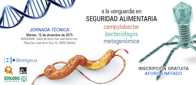 campylobacter