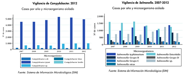 campilobacteriosis