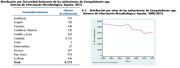 campylobacter