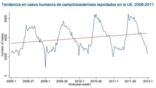 campylobacter