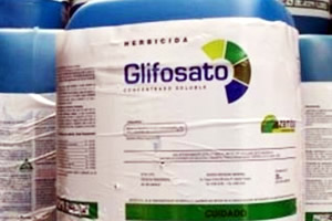 glifosato