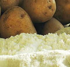 harina de patata