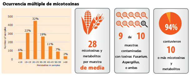 micotoxinas