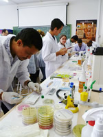 microbiologia