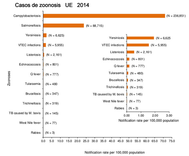 zoonosis