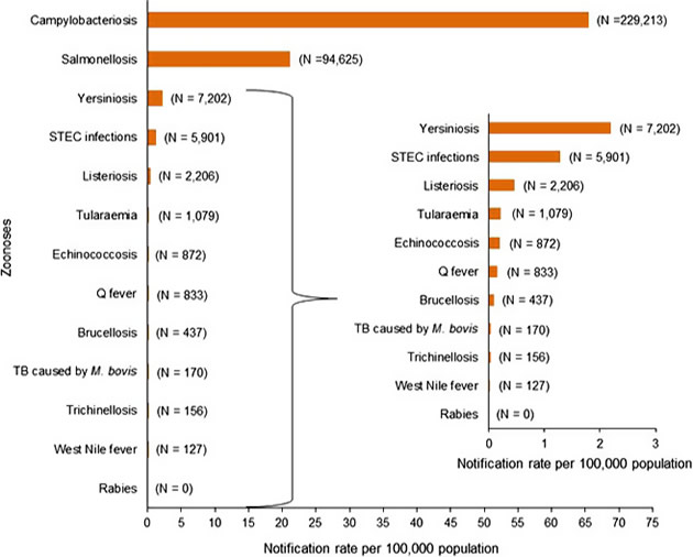 zoonosis