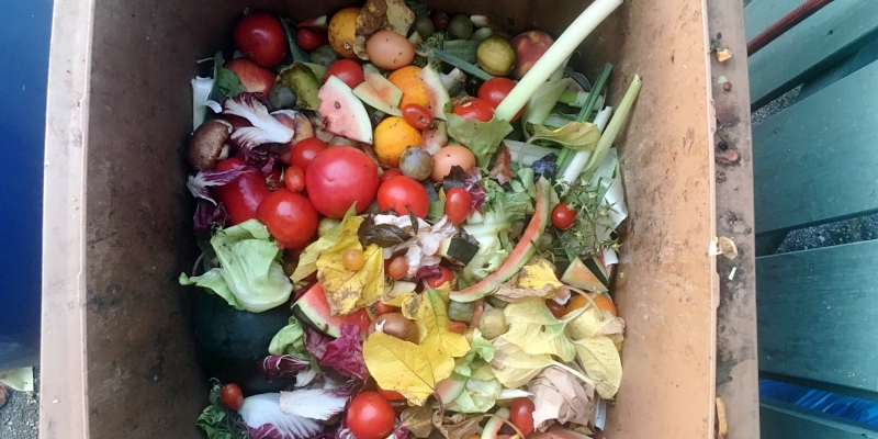 residuos alimentarios