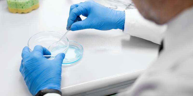 microbiologia de la cadena alimentaria