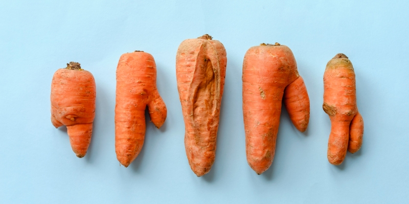 perdidas y desperdicio alimentario
