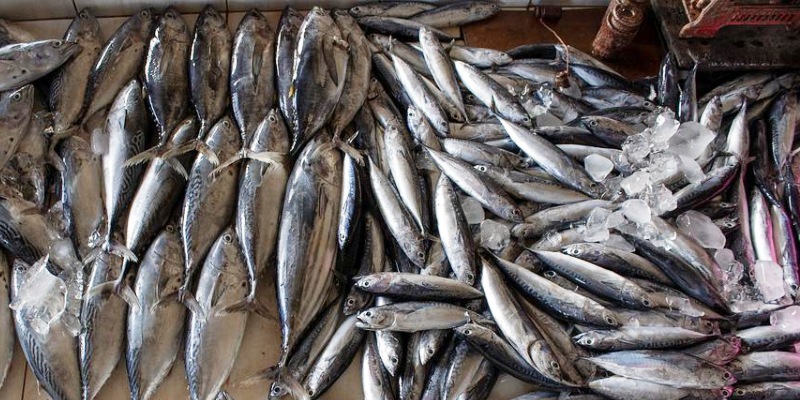 histamina en los alimentos