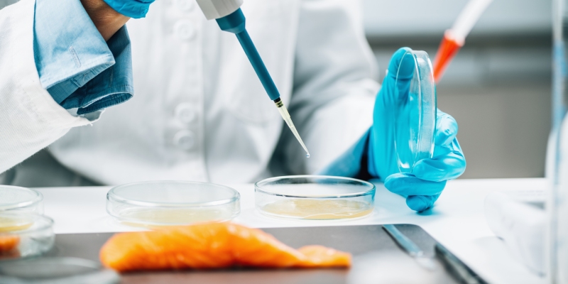 estudios de vida útil listeria monocytogenes