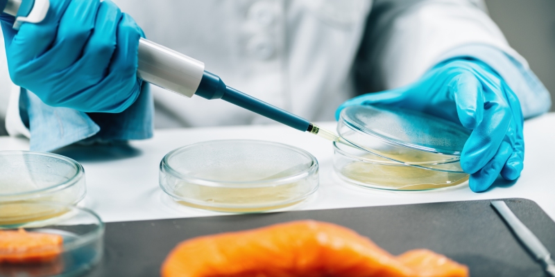 estudios de vida util en relacion a Listeria monocytogenes