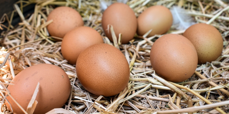 marcado de los huevos