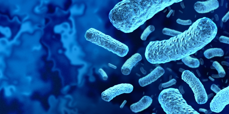 listeriosis