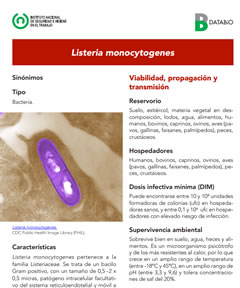 listeria