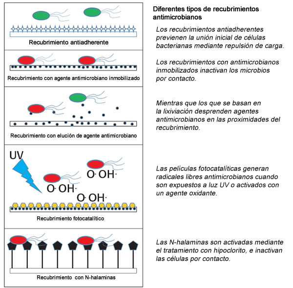 listeria-biofilms