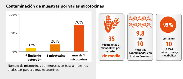 micotoxinas