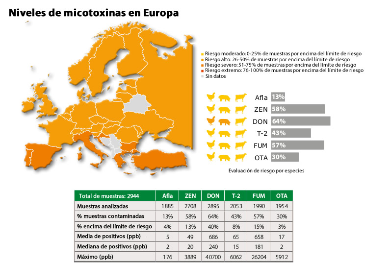 micotoxinas