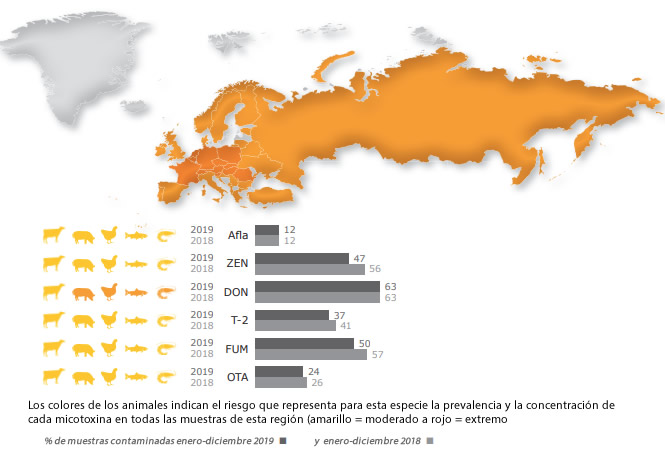 micotoxinas