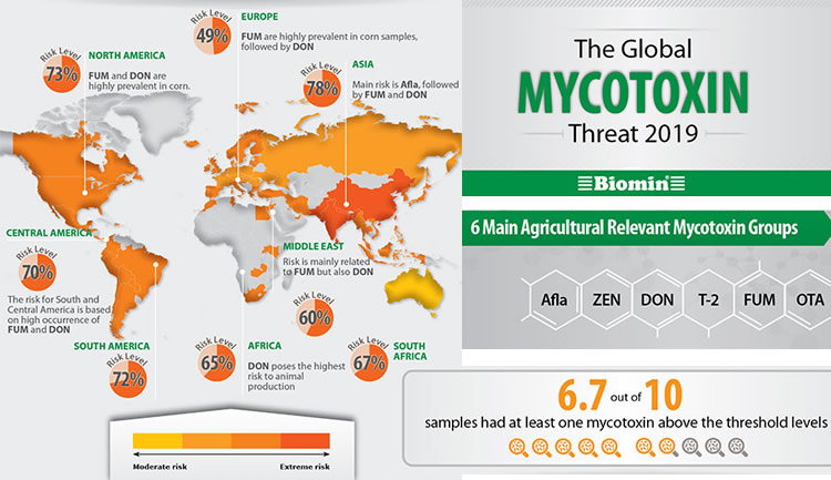 micotoxinas