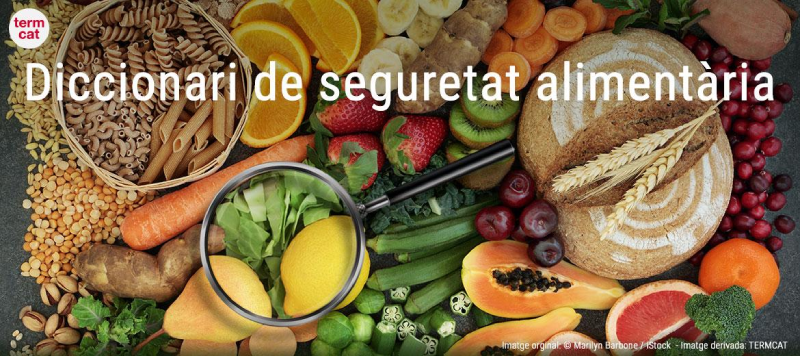 diccionario de seguridad alimentaria