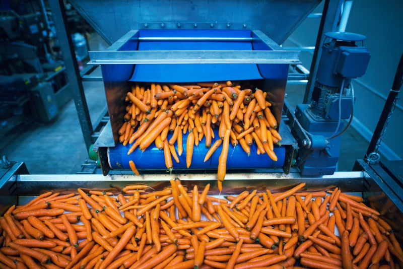 sistemas alimentarios sostenibles