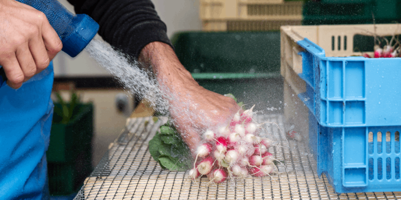 calidad del agua en la industria alimentaria