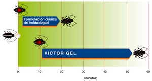 Cuadro 4