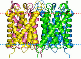 Aquaporin