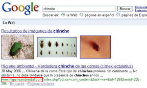 Búsqueda de chinches en google