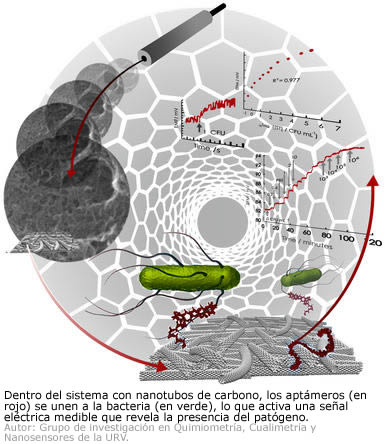 biosensor-salmonella.jpg